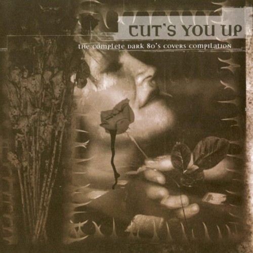 Cut’s You Up封面