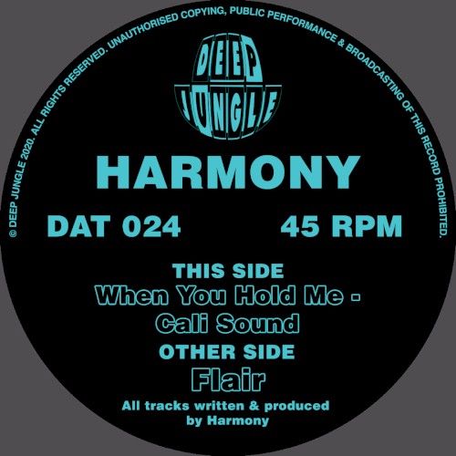 Flair / When You Hold Me / Cali Sound封面