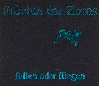 fallen oder fliegen封面