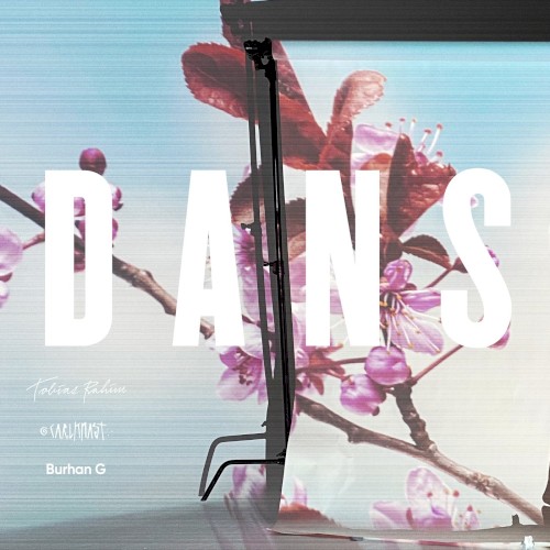 DANS封面