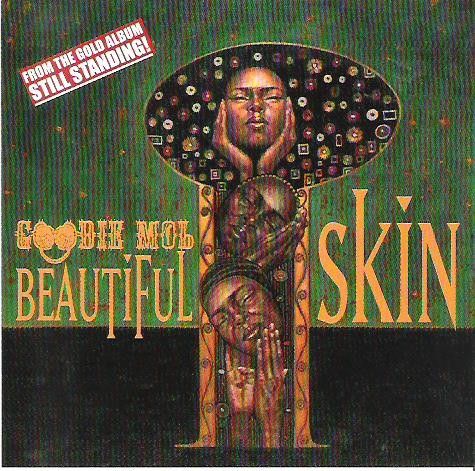 Beautiful Skin封面