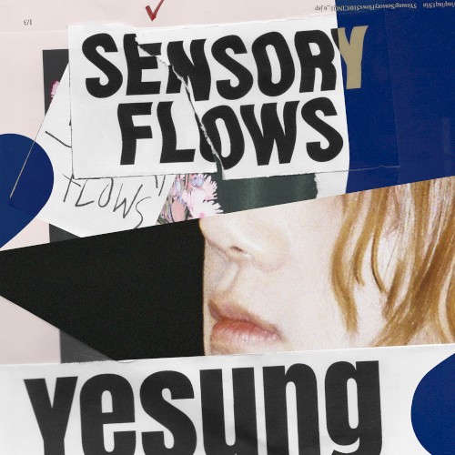 Sensory Flows封面