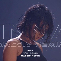 Te Vas (Maesic Remix)封面