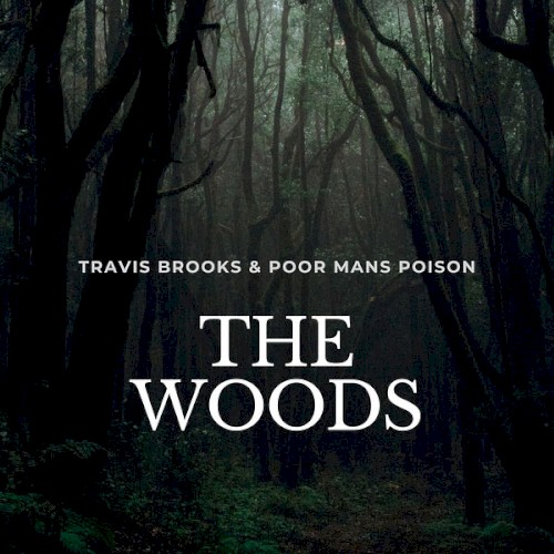 The Woods封面