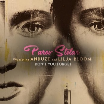 Don't You Forget封面