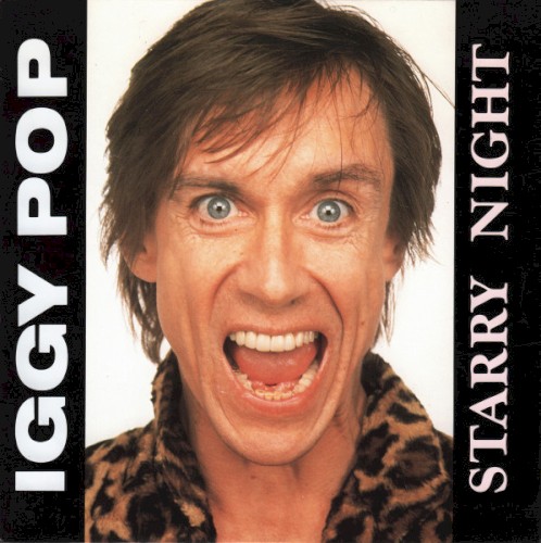Starry Night封面
