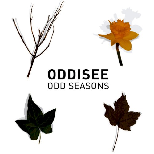 Odd Seasons封面