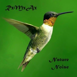Nature Noise封面