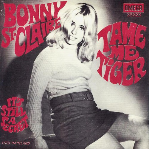 Tame Me Tiger / It's Still a Secret封面