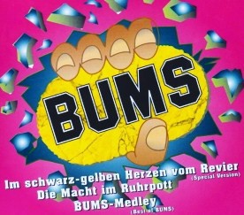 Im Schwarz-Gelben Herzen Vom Revier封面