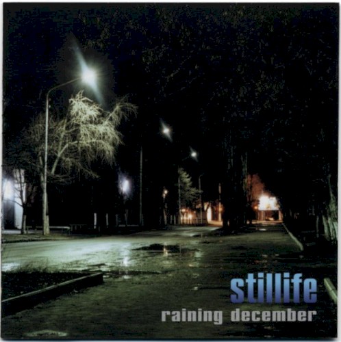 Raining December封面