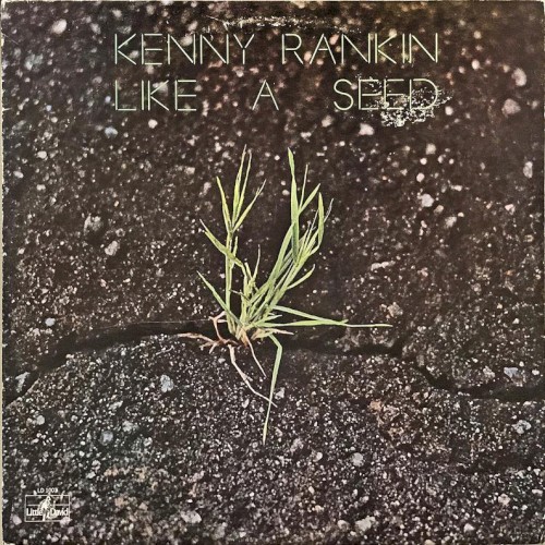 Like a Seed封面