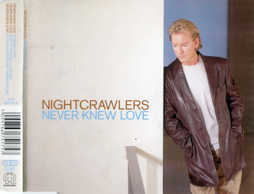Never Knew Love封面