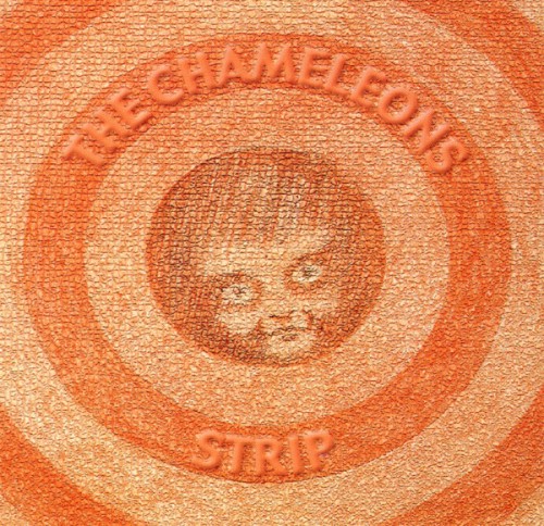 Strip封面