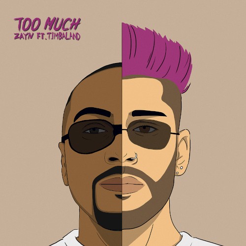 Too Much封面