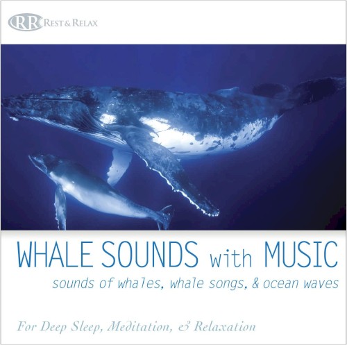 Whale Sounds With Music: Sounds of Whales, Whale Songs, and Ocean Waves封面