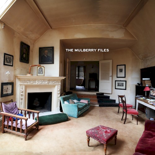 The Mulberry Files封面