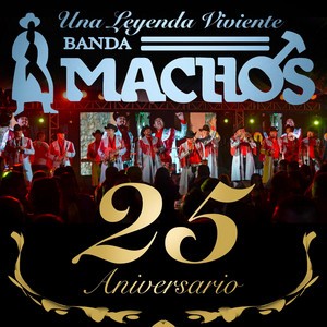 25 aniversario: Una leyenda viviente封面