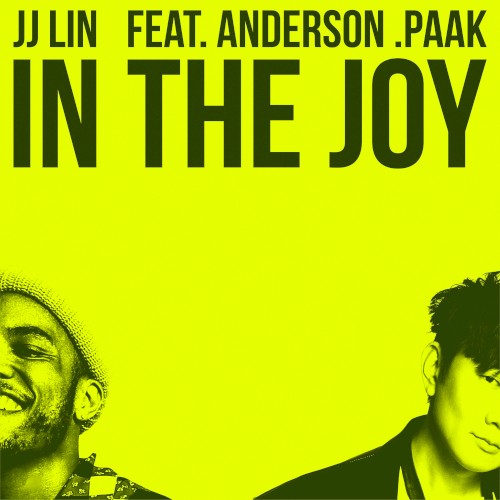 In the Joy封面