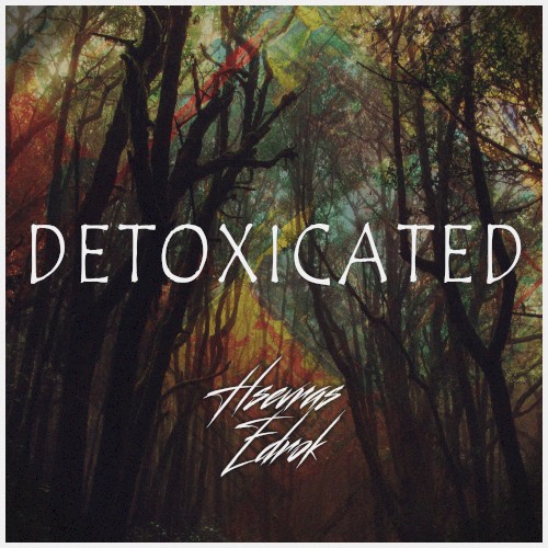 Detoxicated封面