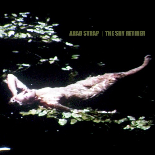 The Shy Retirer封面