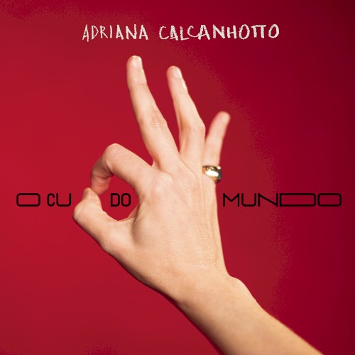 O cu do mundo封面