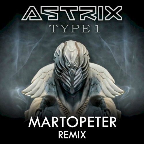 Type 1 (Martopeter remix)封面