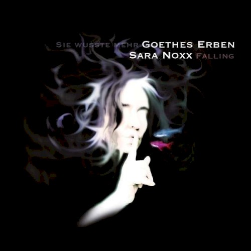 Sie wusste mehr / Falling封面