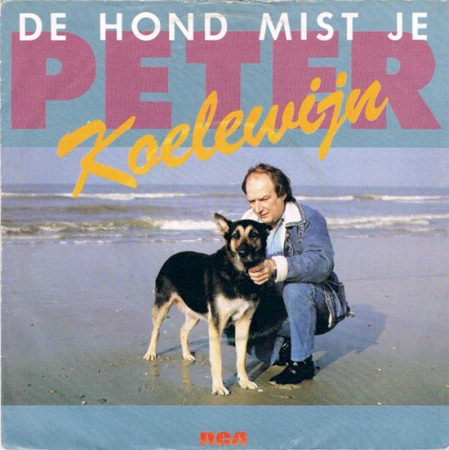 De hond mist je / Het gaat nooit over封面