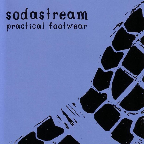 Practical Footwear封面