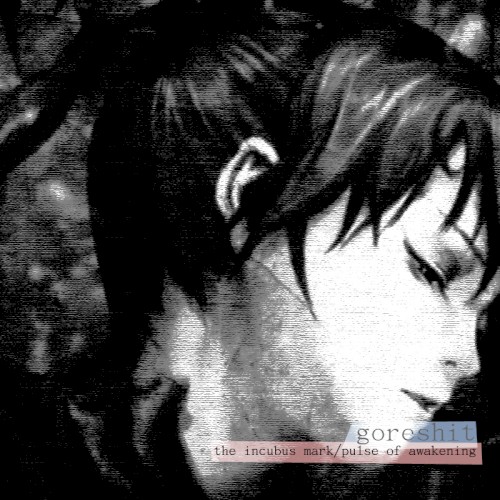 The Incubus Mark/Pulse of Awakening封面