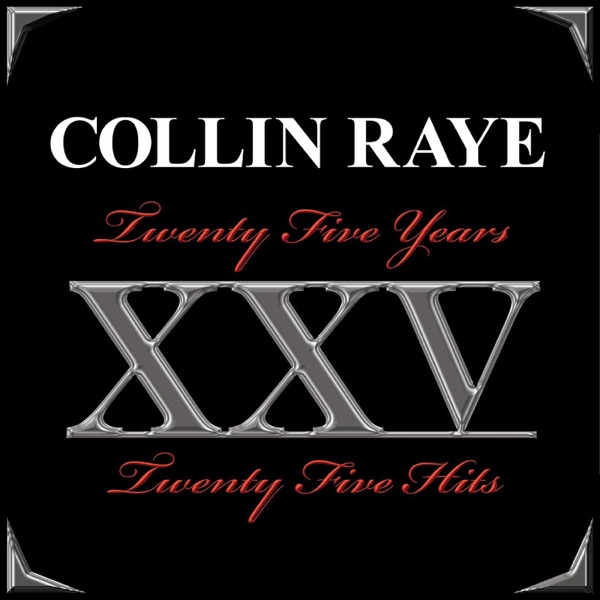 Twenty Five Years, Twenty Five Hits封面