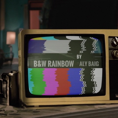B&W Rainbow封面