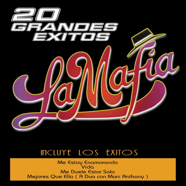 20 grandes éxitos封面