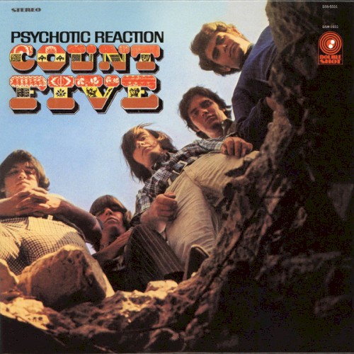 Psychotic Reaction封面