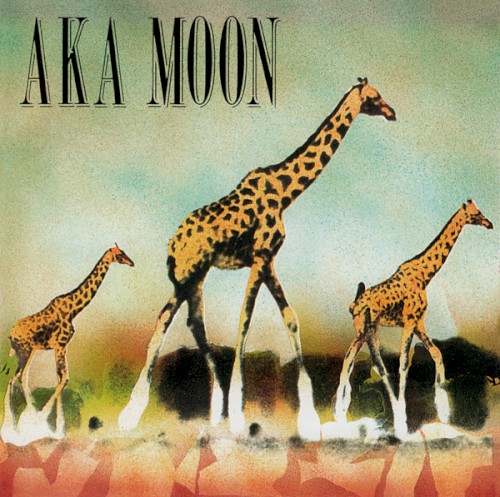 Aka Moon封面