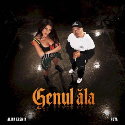 Genul ăla封面