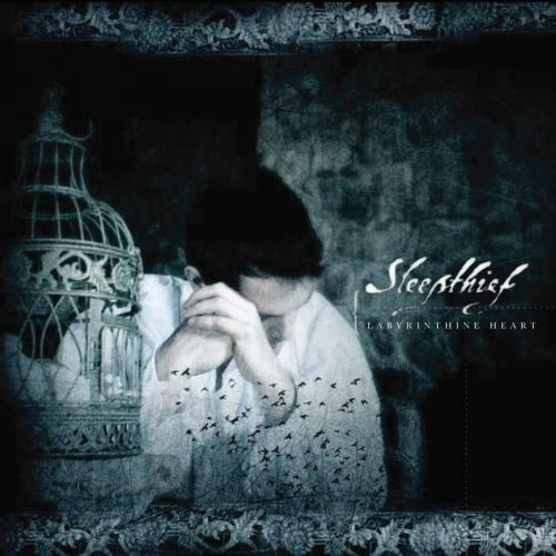Labyrinthine Heart封面