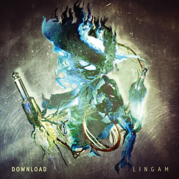 LingAM封面