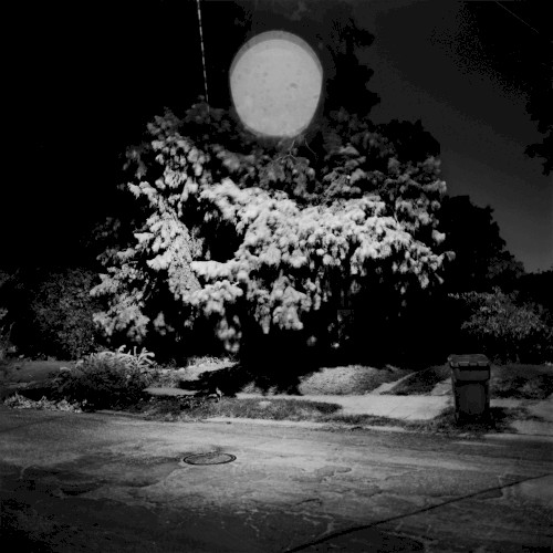 The Night You Caught on Fire / Clinging封面