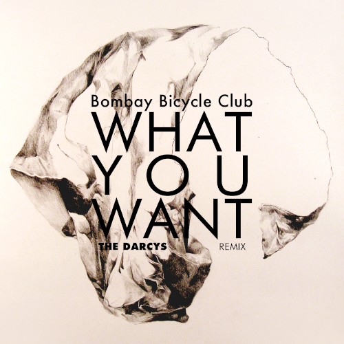 What You Want (The Darcys remix)封面