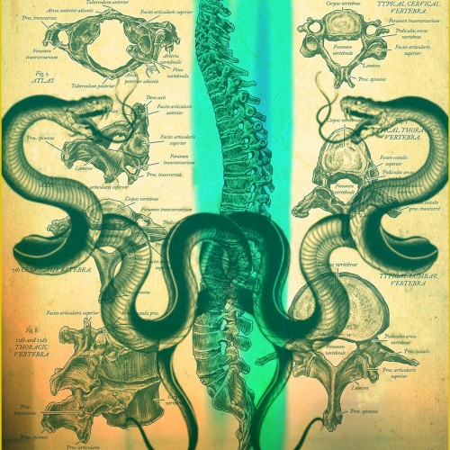 Anatomical Drawing Drawn by a Patient封面