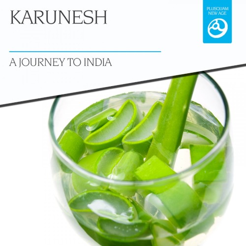 A Journey to India封面
