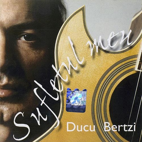 Sufletul meu封面