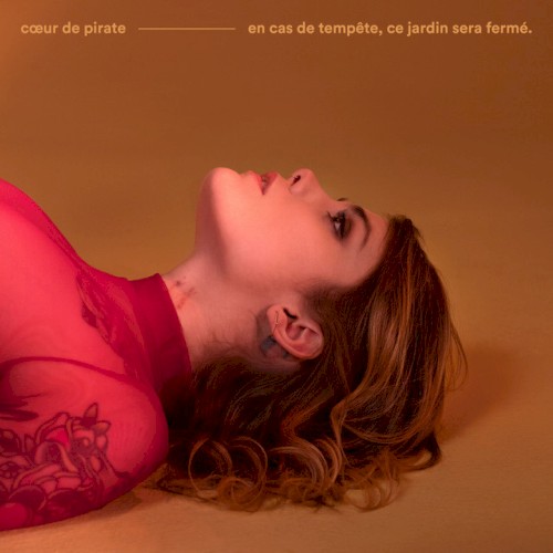 Dans la nuit封面