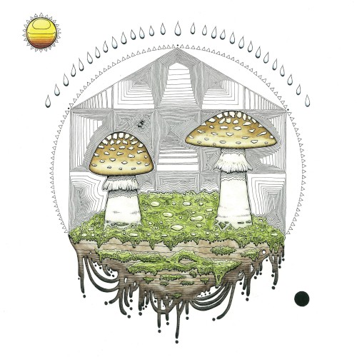 Mycelia封面