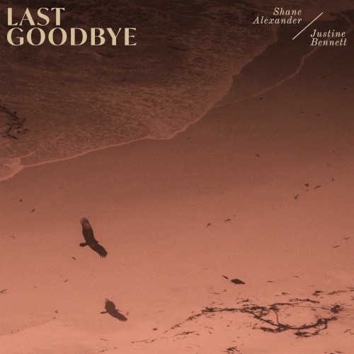 Last Goodbye封面