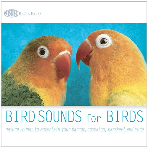 Bird Sounds for Birds: Nature Sounds to Entertain Your Parrot, Cockatoo, Parakeet and More封面