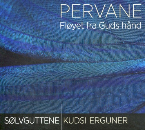 Pervane: Fløyet fra Guds hånd封面
