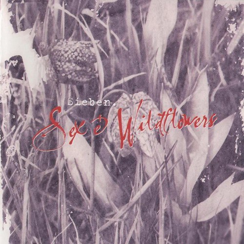 Sex and Wildflowers封面
